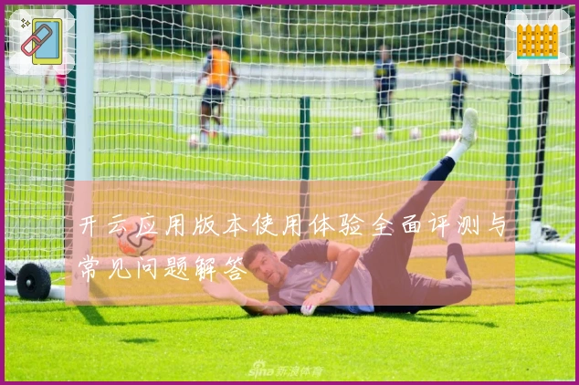 开云应用版本使用体验全面评测与常见问题解答