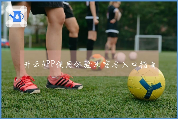 开云APP使用体验及官方入口指南